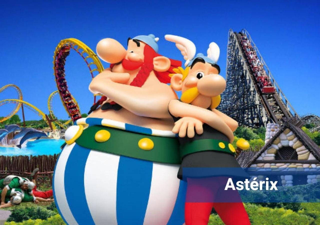 Апартаменты Le Loft Proche Aeroport Cdg I Paris I Asterix Даммартен-ан-Гоэль Экстерьер фото